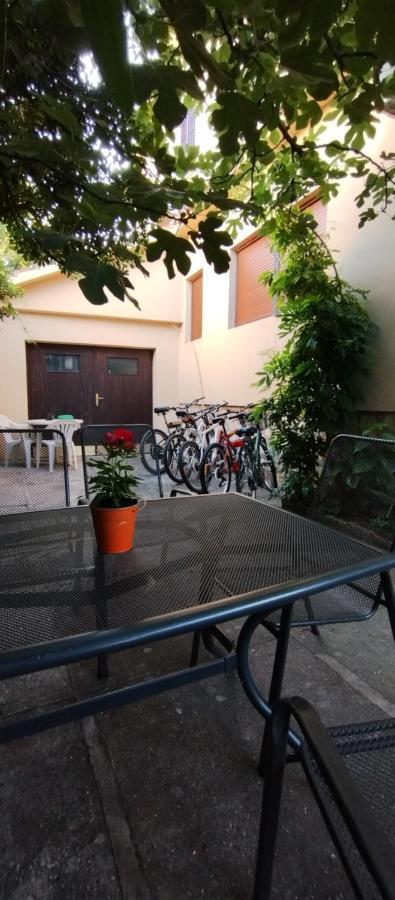 Adria Apartments Sveti Filip i Jakov Kültér fotó